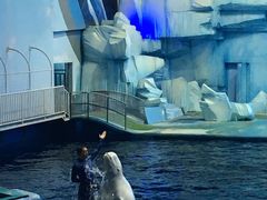 -福州罗源湾海洋世界旅游区