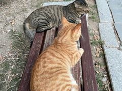 -厦门园林博览苑