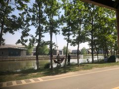 -西安浐灞国家湿地公园