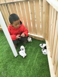 -萌宠亲子动物乐园(槐房万达店)