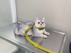 -1013 PET SHOP 宠物商店(近铁城市广场店)
