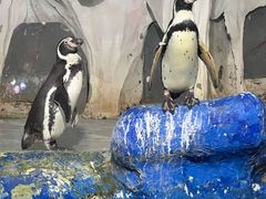 -太平洋海底世界