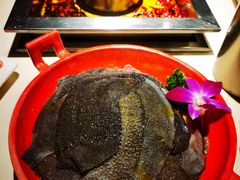 -二荆条·蜀鲜汇城市森林火锅