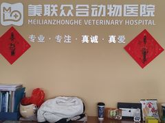 -美联众合动物医院·伴可分院·内科中心医院