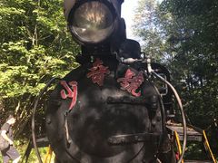 -五营红松林海景区