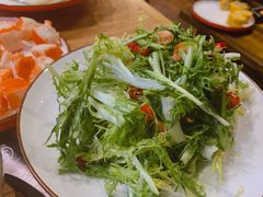 凉拌苦菊-木辛水水冰煮羊(新一中店)