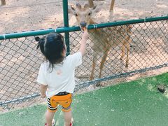 -大连铭湖国际观光牧场