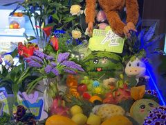 -涨巢·潮玩水疗局