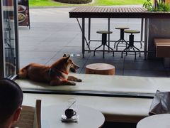 -SAANCI山池咖啡(海上世界文化艺术中心店)