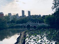 -金山公园