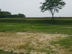 -盘龙城国家考古遗址公园