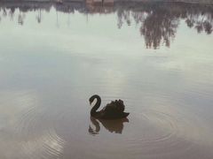 -扬州天乐湖嬉乐谷