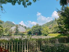 -野象谷景区