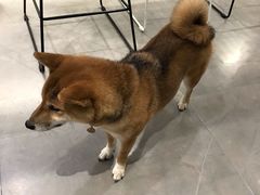 -NOTBAD 须时·咖啡馆