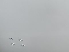 -黄牛肉馆·皖南土菜