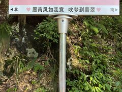 -黄山翡翠谷景区