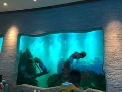 -瑞德姆美人鱼海底演艺主题餐厅(亚龙湾店)