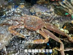 -盒马鲜生(和谐广场店)