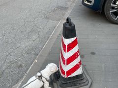 -康乐宝动物医院