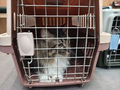 -联合动物医院(光谷诊疗中心)
