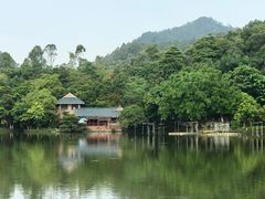 -孔雀园餐厅