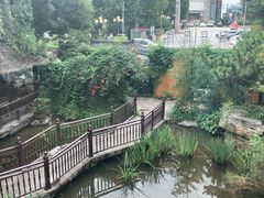 -聚缘堂·海鲜私房菜(松岭路店)
