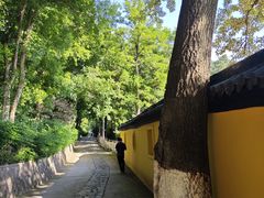 -九华山公园