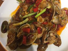 辣炒青岛花蛤-必点海鲜·鲅鱼水饺(鞍山西道店)