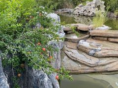 -夏津德百度假村温泉