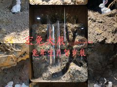 -浙江自然博物院(杭州馆)