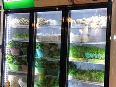 -东椰·海南椰子鸡火锅(朝阳门店)