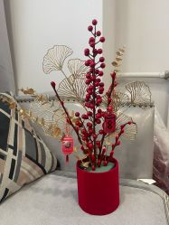 -台湾宝儿月子中心 (中南路店)