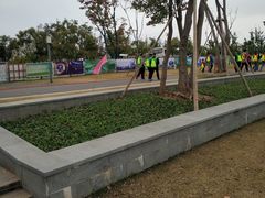 -上海长兴岛郊野公园