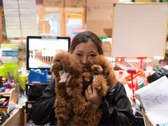 -爱宠屋pet shop·宠物洗澡·宠物美容