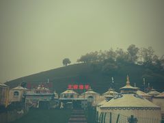-关山牧场王师烤全羊