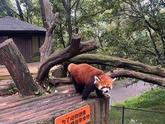 -云南野生动物园