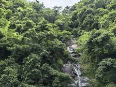 -海南霸王岭国家森林公园