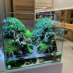 -和良形象