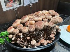有机松香菇-捞王锅物料理(济南万象城店)