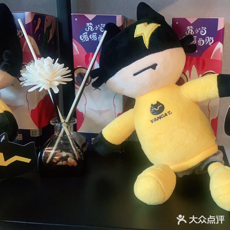 「VanCat梵猫(龙鼎万达店)」