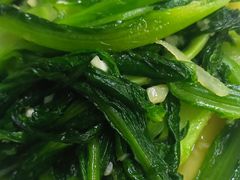 -老字号老马炕锅烤肉城