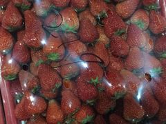 -菜园坝水果市场