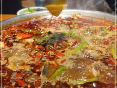 -小饕荟雅安贡椒鱼鲜馆(广福桥店)