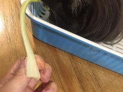 -藦茜花园宠物主题亲子互动体验馆(国顺东路店)