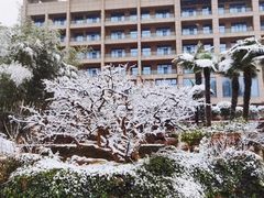 -西安国际创新人才交流中心•药浴温泉