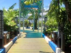 -马大胡子清真西北菜