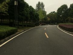 -西南政法大学(渝北校区)