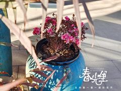 -诗经里