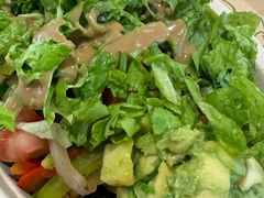 -油梨树 AVOCADO TREE(亮马桥店)