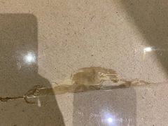 -青岛富力艾美酒店